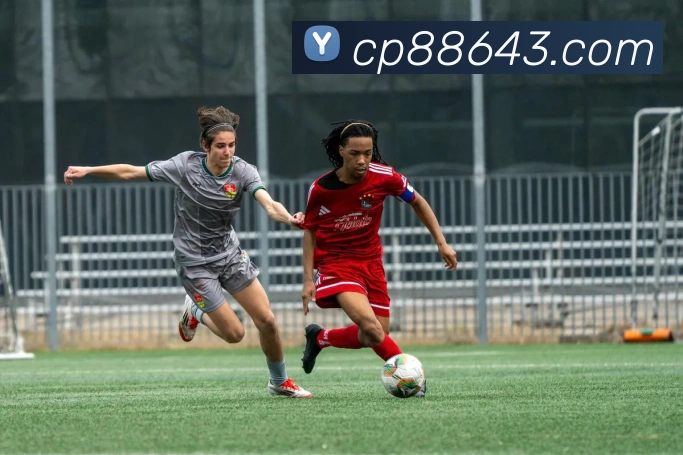 App Interface Preview